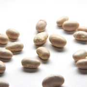 a.r.c.h.i.v. | white beans